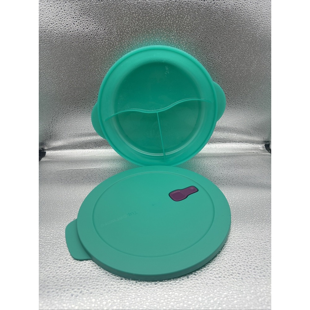 Tupperware Crystal Wave Plus LRG 10" Divided Dish w/Vented Lid Teal